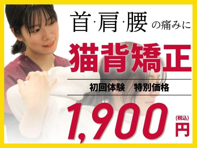 猫背矯正